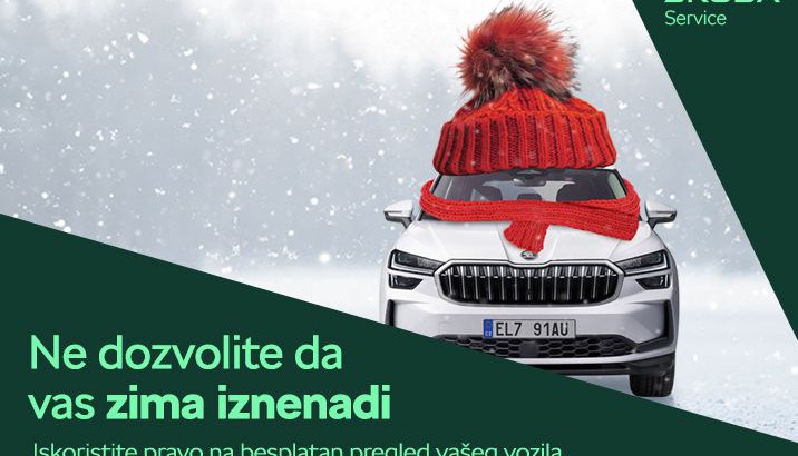 Zimski servis